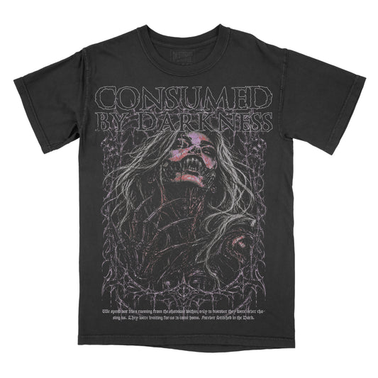 Black vintage-wash graphic tee featuring a dark horror-style woman with sharp fangs surrounded by tangled spiderwebs, with distressed “Consumed by Darkness” lettering across the top.